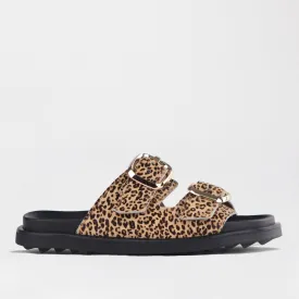 Double Buckle Mules in Cheetah Tan - 12681